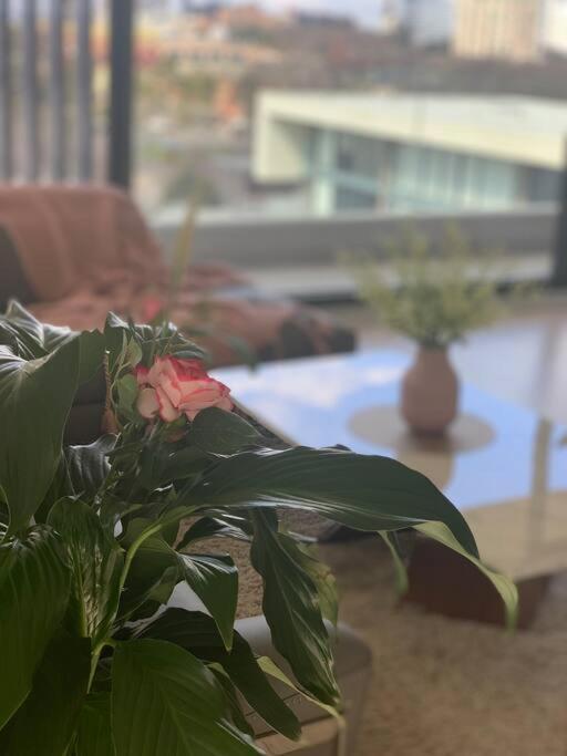 Carlton Stunning View Apartment 150M Away From University Of Μελβούρνη Εξωτερικό φωτογραφία